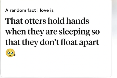 otters holding hands bio overused