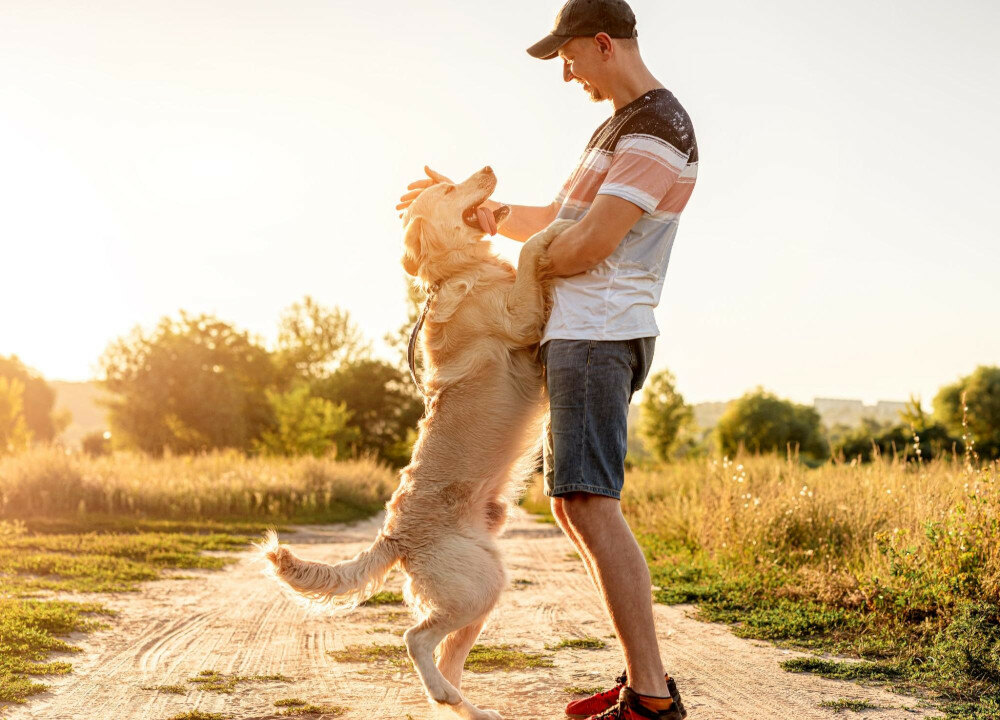 man dancing with his dog, sunset