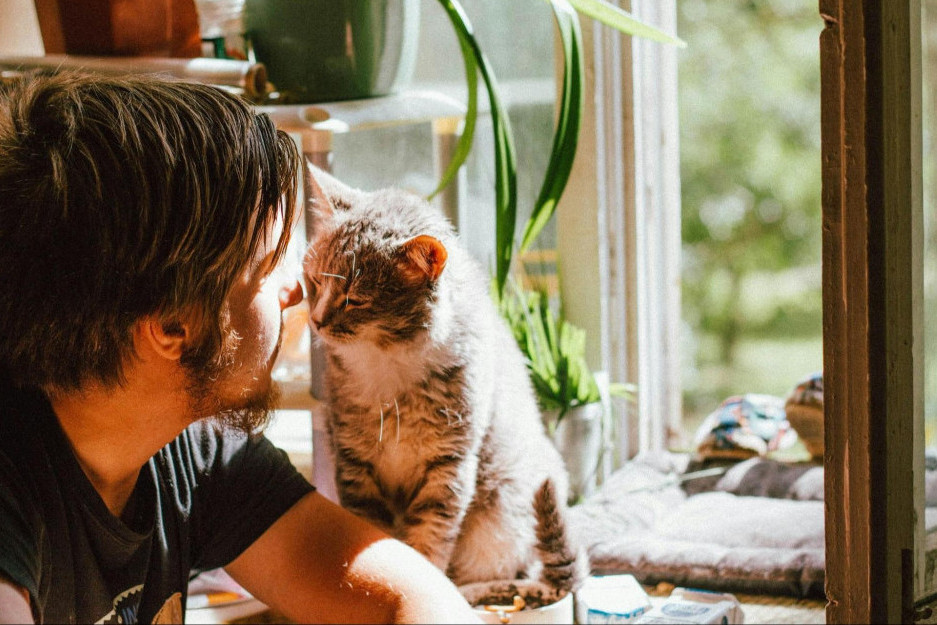 man with his cat, nose to nose