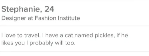 basic tinder bio example, no context, no information to start a conversation