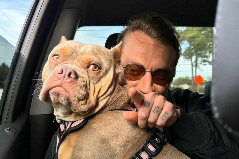 man taking a selfie with his bulldog in car
