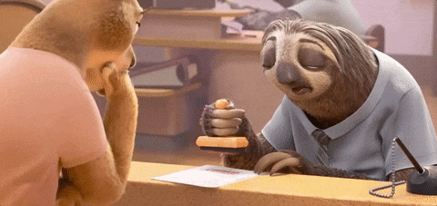 sloth stamping license in dmv, animated gif