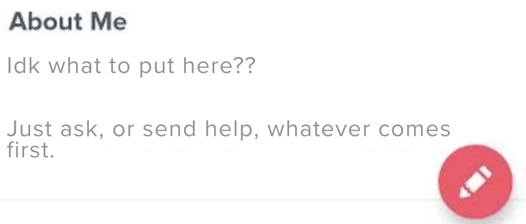 funny tinder about me, bio sample